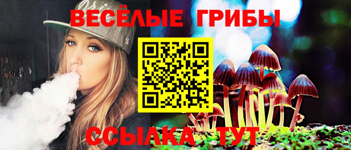 Чайковский  Псилоцибиновые грибы Psilocybine cubensis  магазин    Вход с VPN  Галлюциногенные грибы ЛСД 
