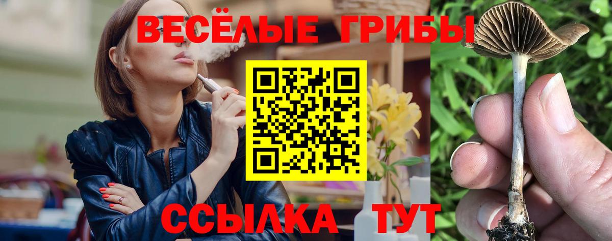 Псилоцибиновые грибы Psilocybe Чайковский